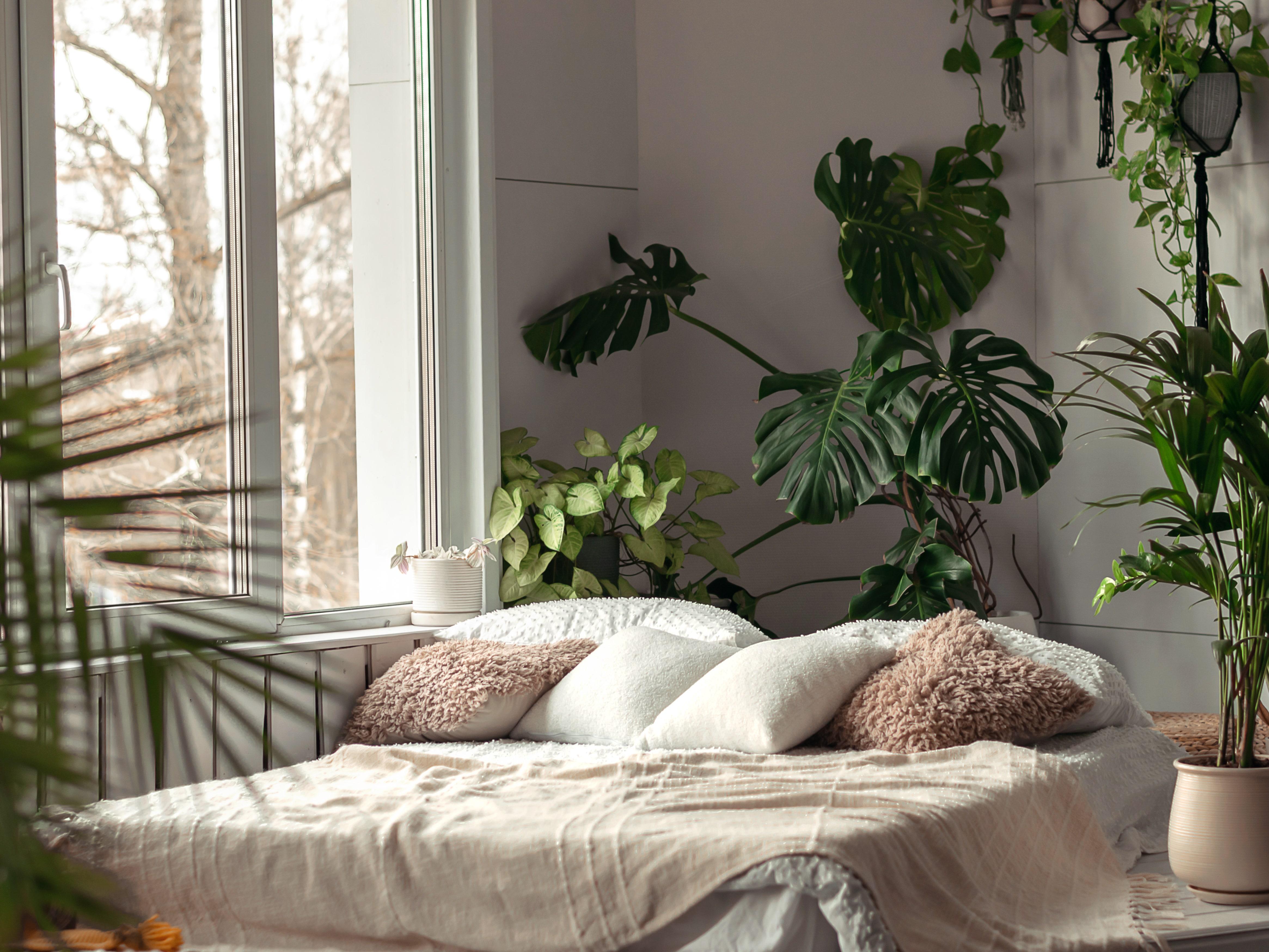 Indoor ‍Plants: Bring life to your space with this‌ bedroom trend