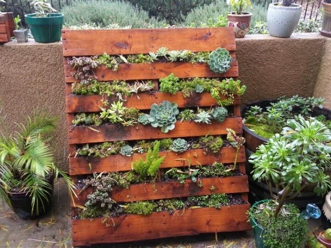 Create‍ a multi-level pallet garden to add visual interest⁣ to your ‌yard