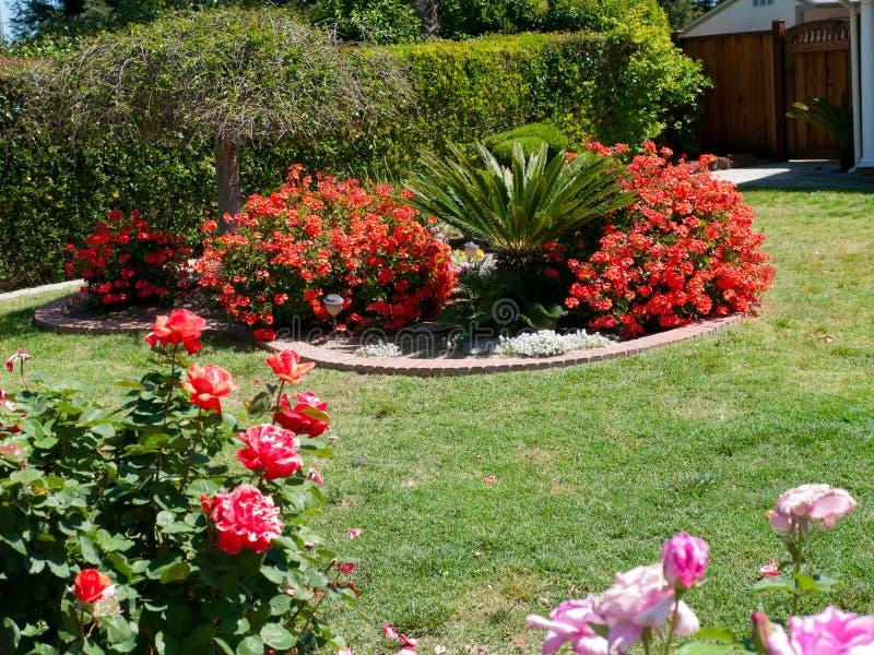 Frame your front door with lush greenery for inviting front yard landscaping