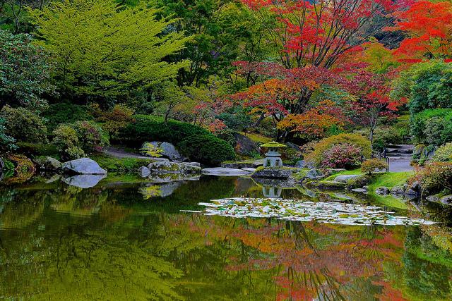 Seasonal changes in a Zen Garden provide new reasons to visit throughout the year