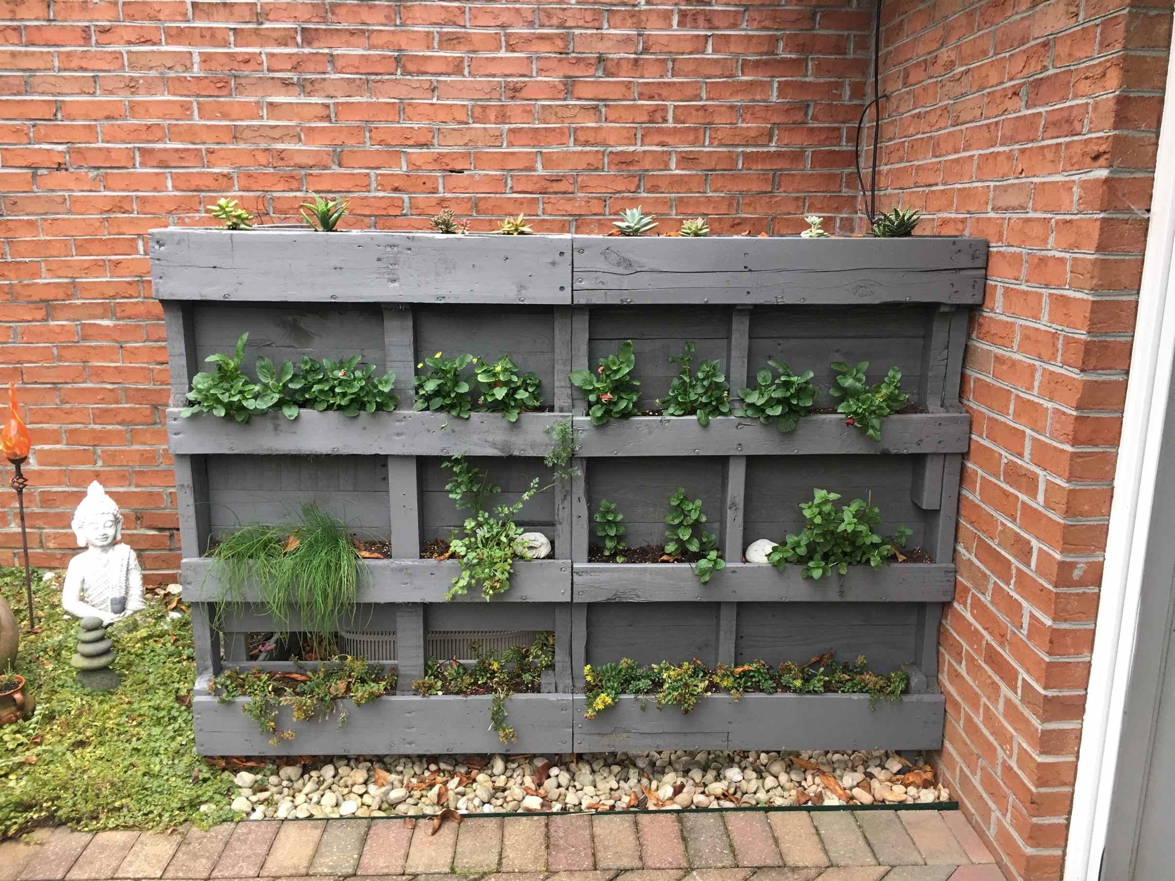 Transform a vertical wall into a stunning floral display with a Pallet Garden