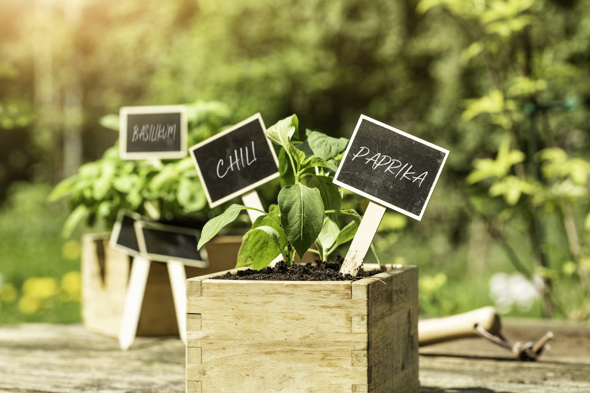 Personalize your pallet garden with fun labels for each​ plant variety