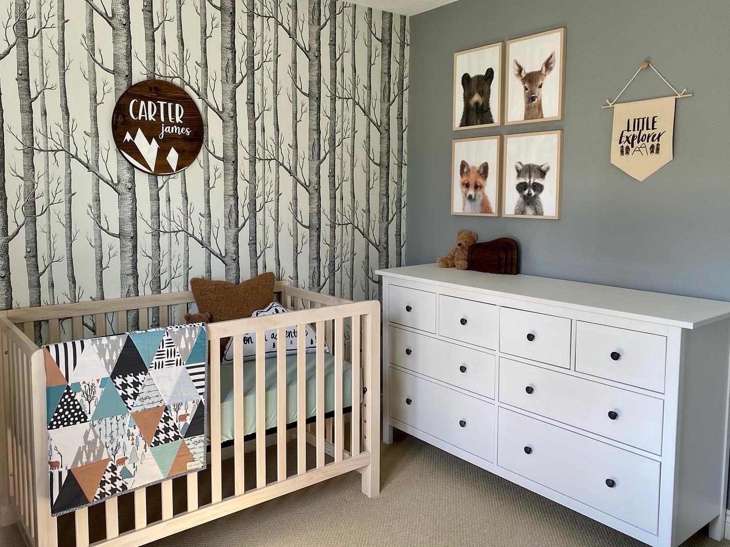 Nature Explorer: Focus on⁤ Outdoorsy Elements​ in the​ Boy Nursery⁢ Layout