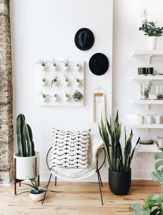 Indoor plants ​add life to your minimalist bedroom environment