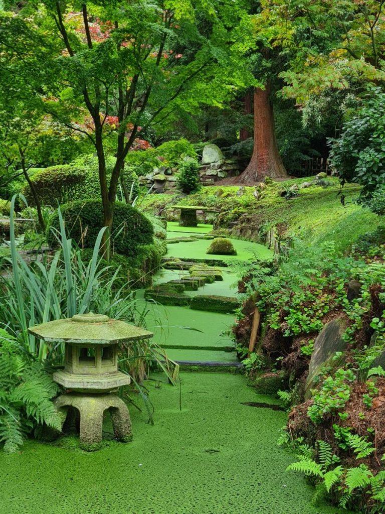 Utilize asymmetry to create a natural flow throughout your Zen ⁤Garden design