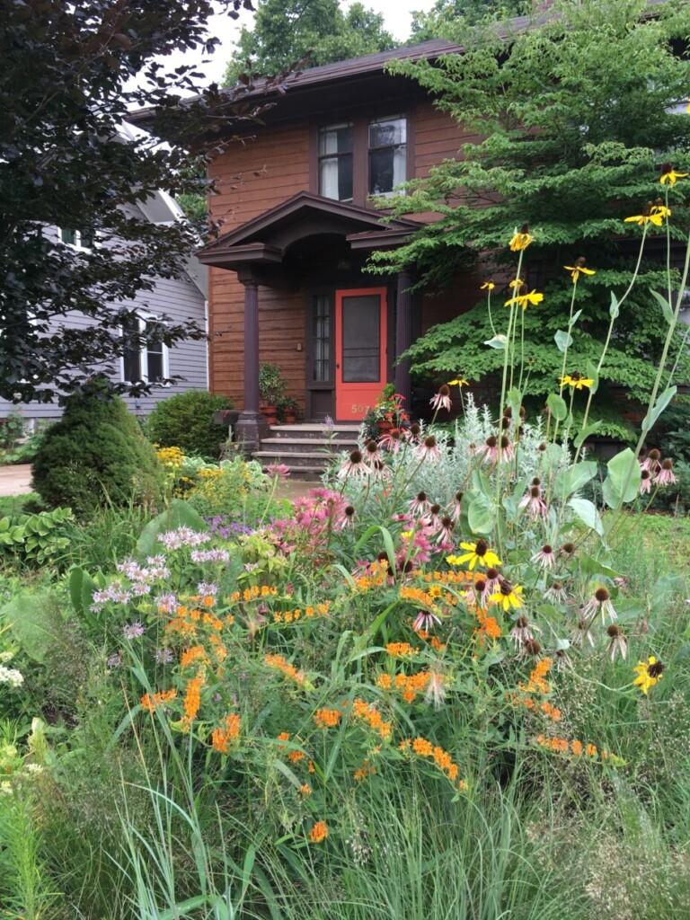 Embrace⁢ native plants for sustainable front yard landscaping that thrives naturally