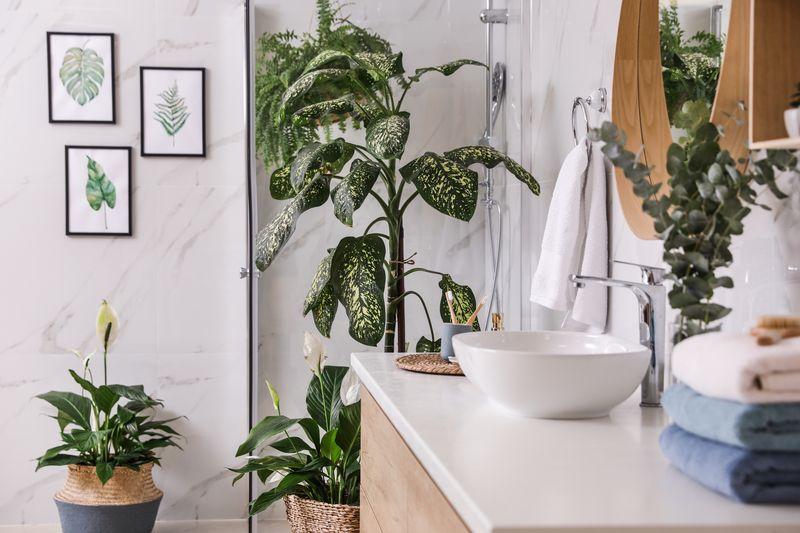 Botanical⁢ elements: Indoor plants bring life to the⁣ bathroom