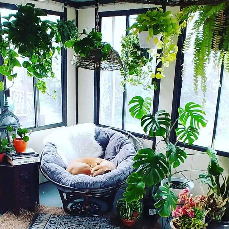 Incorporate indoor plants ⁤on your screened porch for a ⁢refreshing touch of greenery