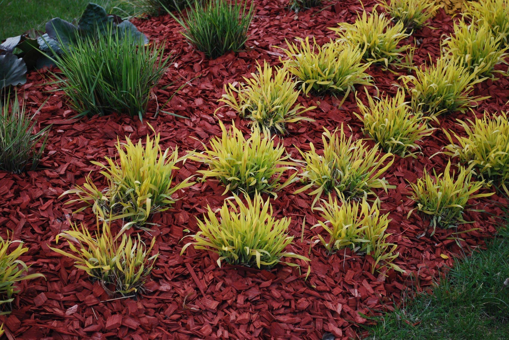 Use ​decorative mulch to define flower beds ‌in your front​ yard landscaping