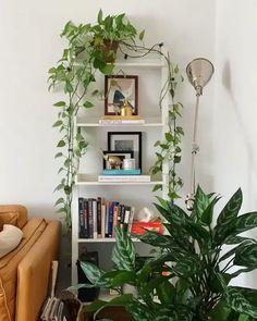 Use indoor plants ⁢to bring ⁢life to your living room space