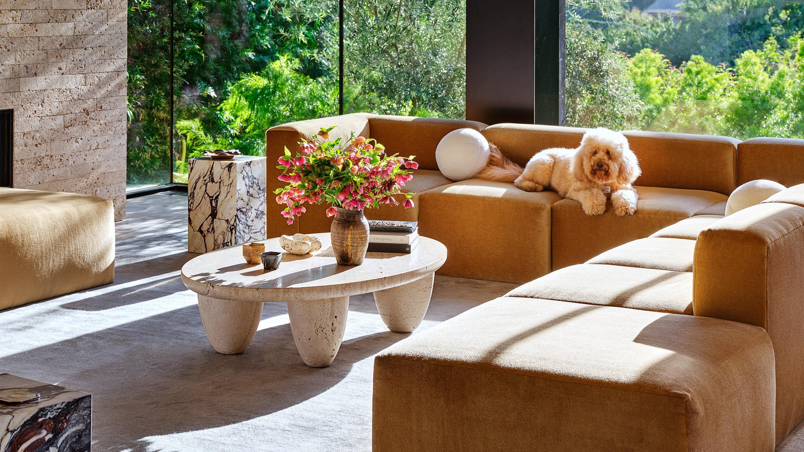 Make your living room pet-friendly ‍with durable fabrics and ​easy-to-clean surfaces