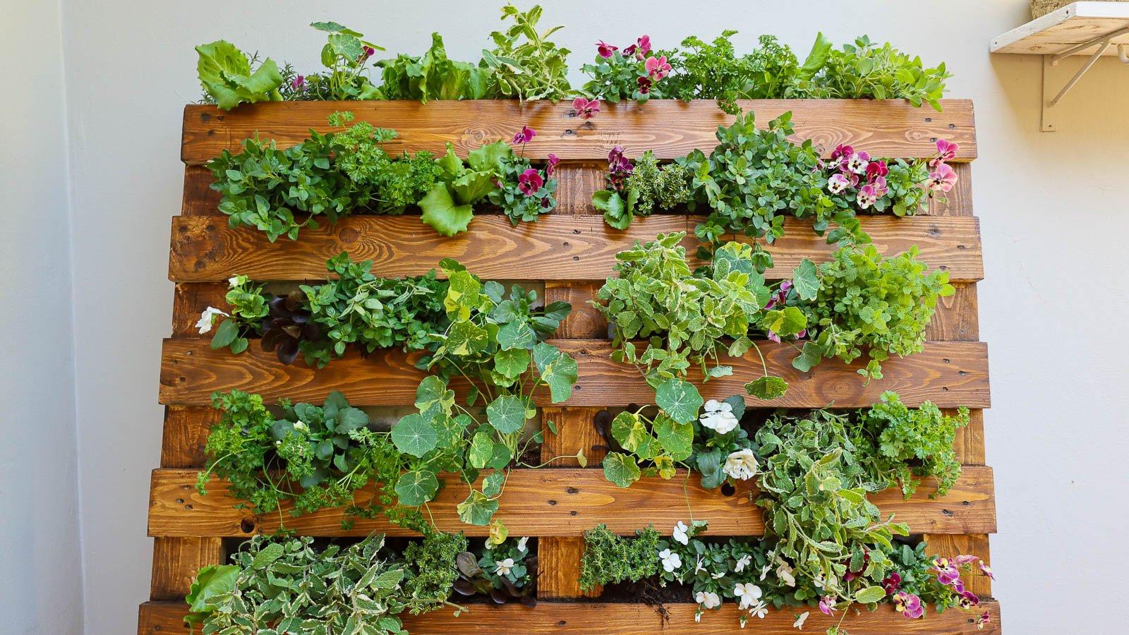 Create a whimsical Pallet Garden featuring a variety of edible plants ​for⁤ convenience