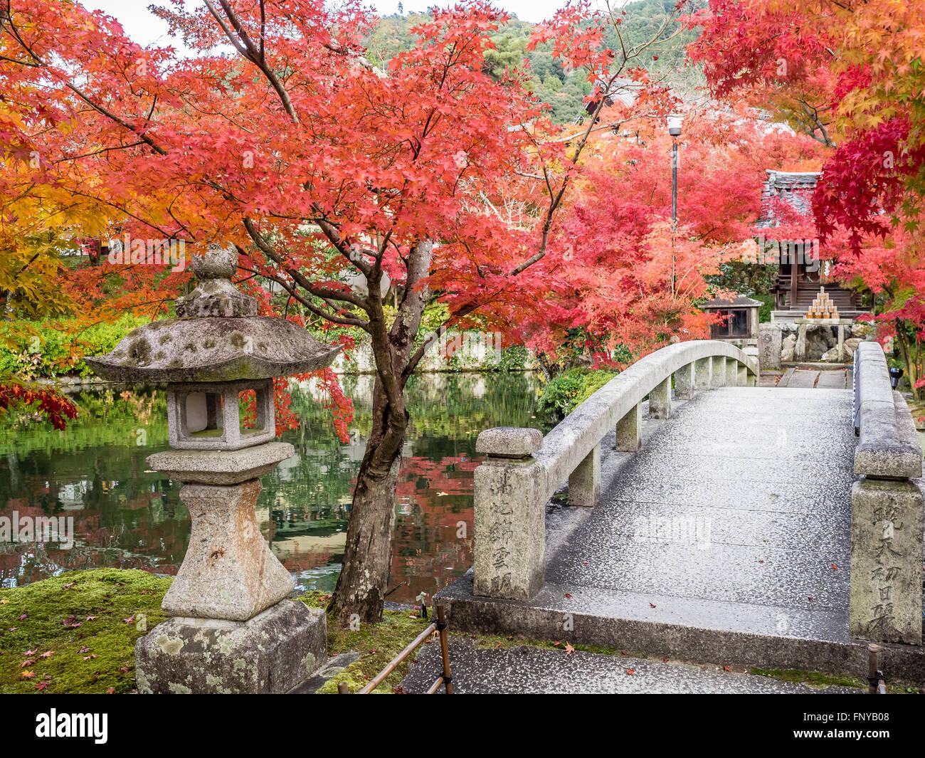 Add a small bridge⁣ to connect different areas and foster exploration in your Zen Garden