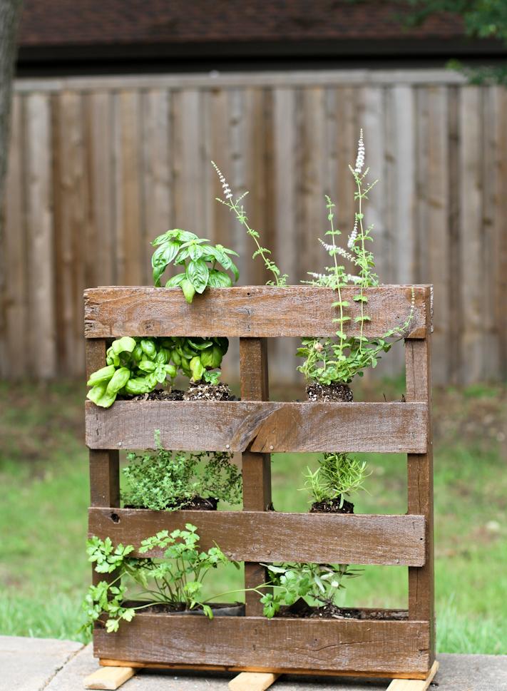 Showcase herbs in a stylish vertical pallet garden for easy access while cooking