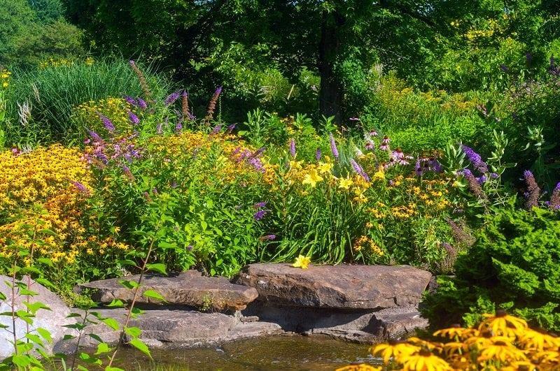 Consider a⁢ butterfly garden ⁤to attract⁤ pollinators in⁢ your front yard landscaping