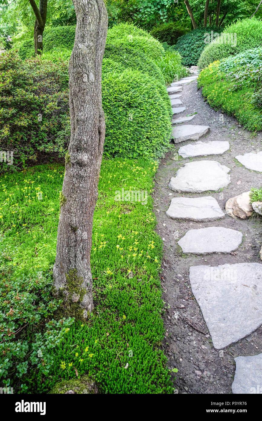 Tailored paths guide the journey, promoting exploration ‌in your Zen ‍Garden