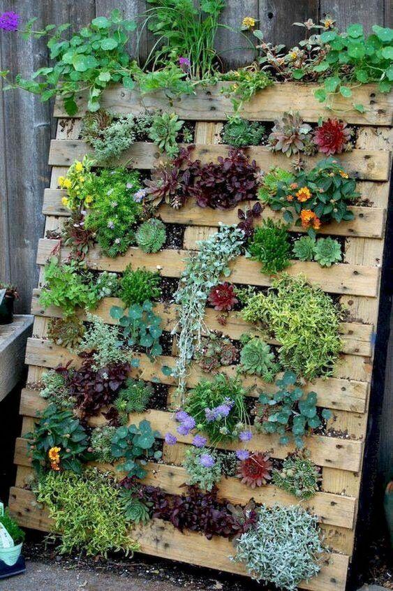 Elevate your space with a vertical pallet garden for ‍stunning‌ greenery displays