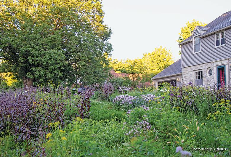 Use native plants in Front Yard Landscaping to promote biodiversity ​and⁤ reduce maintenance