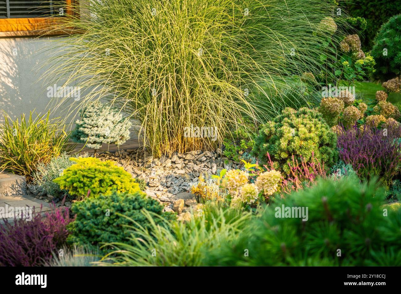 Mix textures with ornamental grasses for dynamic front yard landscaping