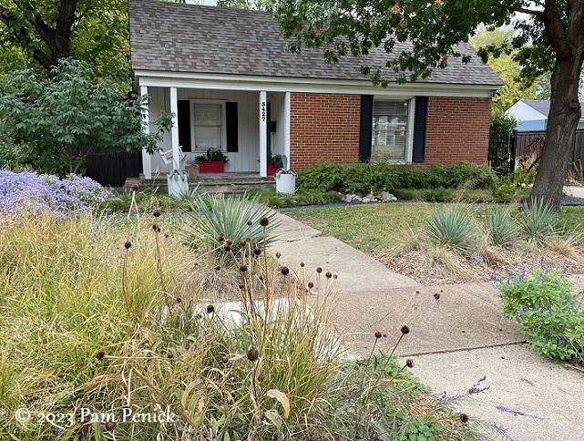 Incorporate native plants in front yard landscaping for low maintenance and​ sustainability