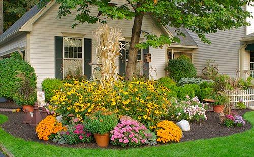 Embrace seasonal change in your Front Yard Landscaping with plants that bloom​ at different times