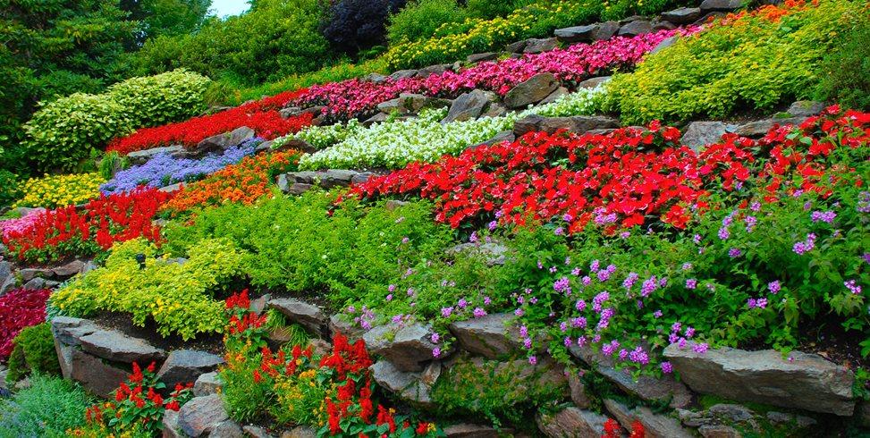 Incorporate colorful flower beds to brighten your front yard landscaping