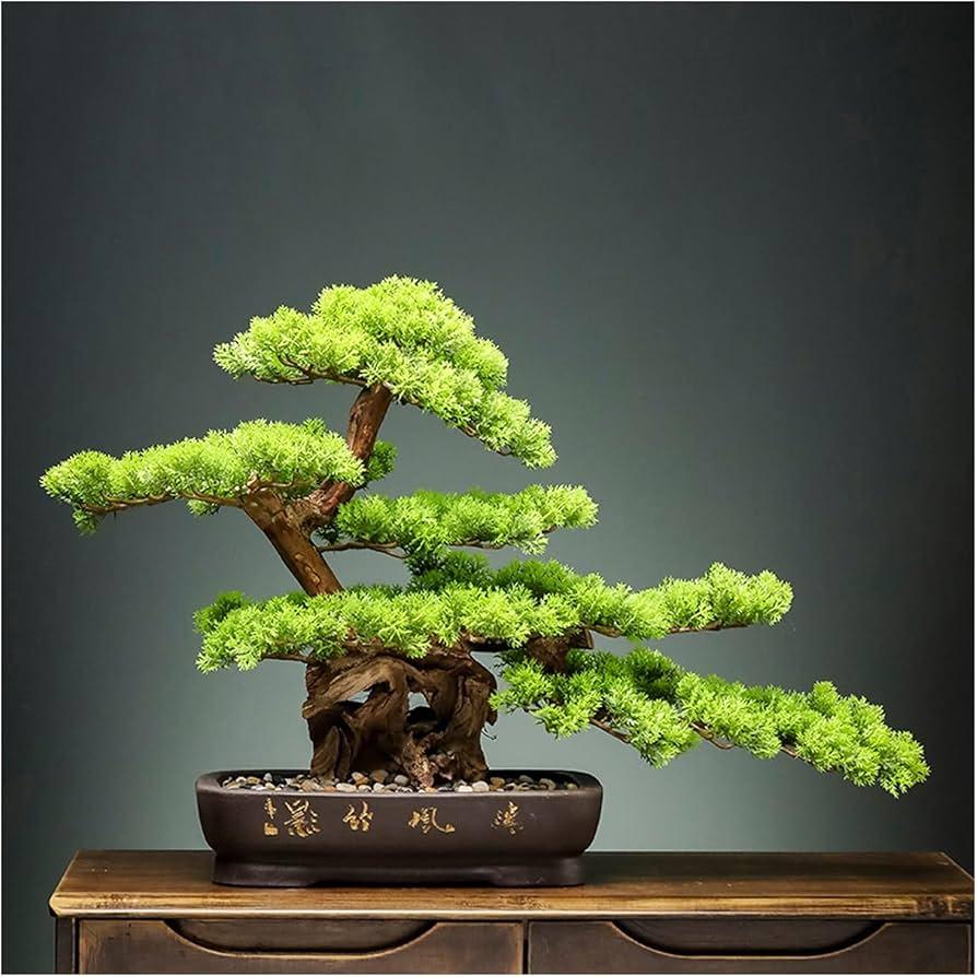 Potted bonsai⁤ trees offer a living sculpture within a Zen Garden