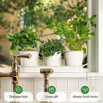 Farmhouse kitchen herbs in pots provide⁣ fresh flavor and⁢ a rustic‍ touch