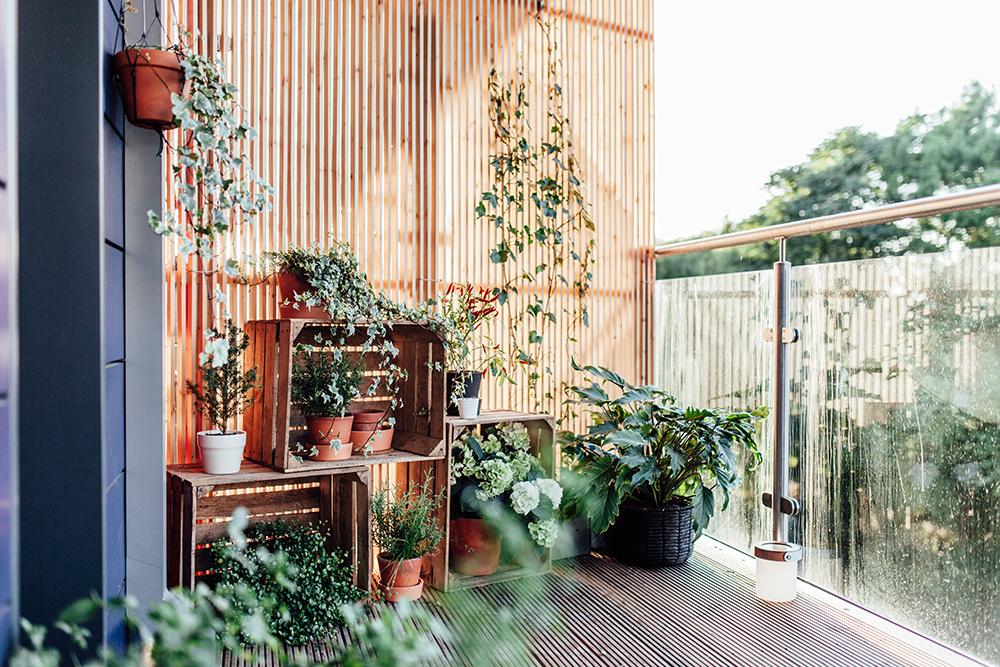 Secluded ⁢hideaway: Use ⁢trellises for privacy ‌in your cozy balcony ‌design