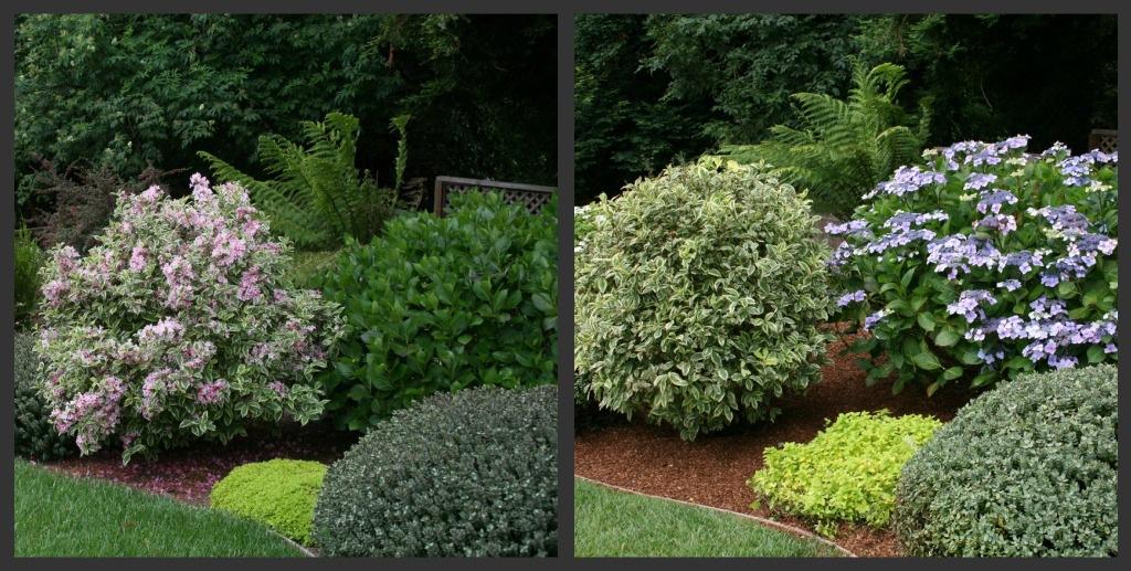 Plan for seasonal changes to ensure year-round beauty in​ your front⁣ yard landscaping