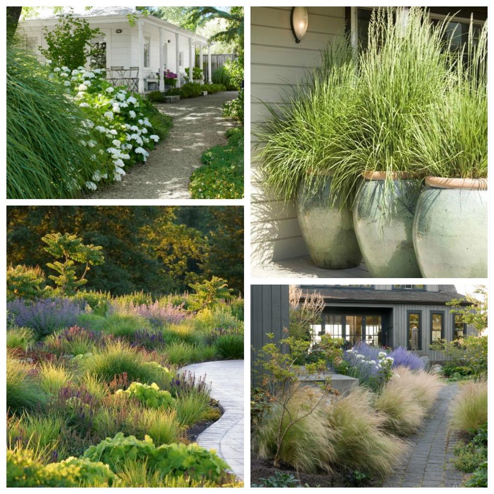 Use ornamental grasses to bring movement and texture to your ⁣front yard landscaping