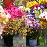 Realistic Silk Flowers and Plants | Los Angeles - Aldik Ho