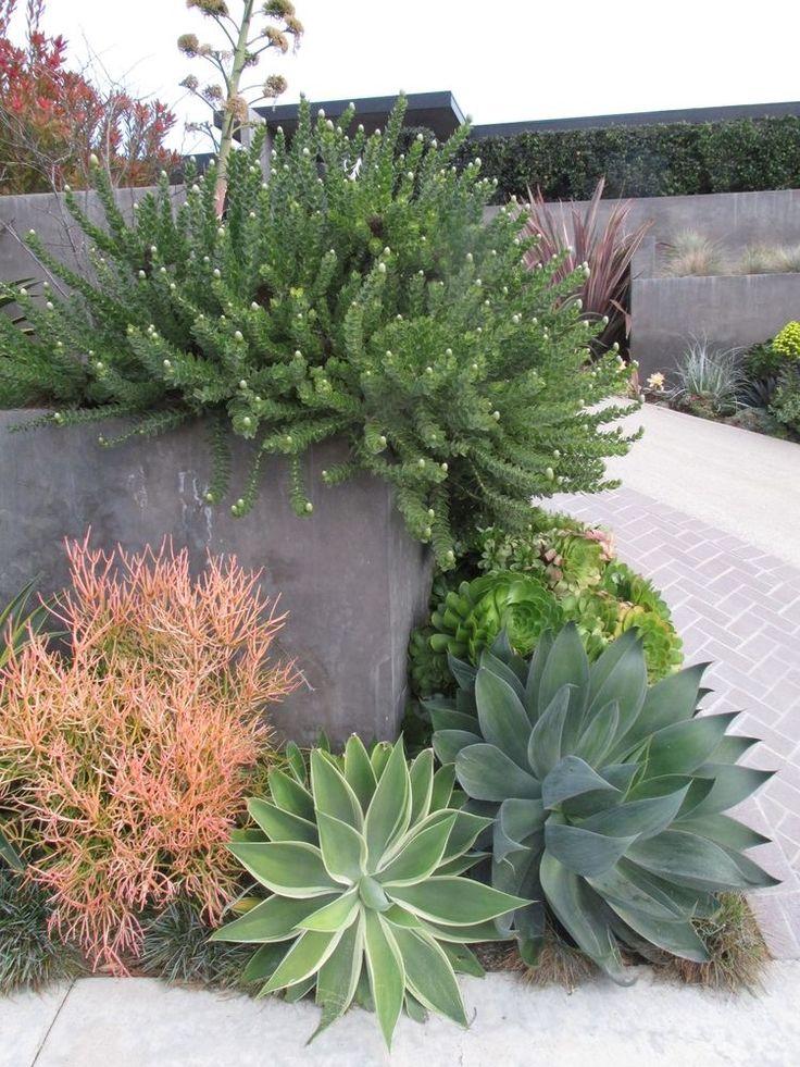 Use a⁤ Pallet Garden ‍to showcase ​colorful succulents and drought-resistant plants