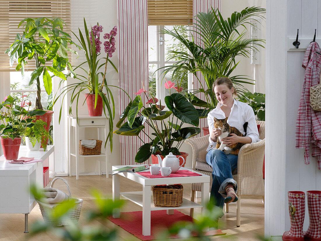 Bring‍ the outdoors in with indoor plants in your​ living ‌room