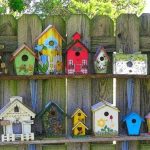 Bird Houses- To have or Not to have | Gardening Forums .