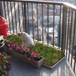 Pet-friendly: Design your balcony with pet safety and ​comfort in mind