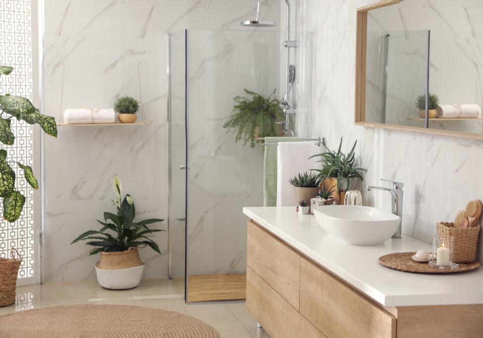 Indoor plants for a refreshing, vibrant bathroom atmosphere