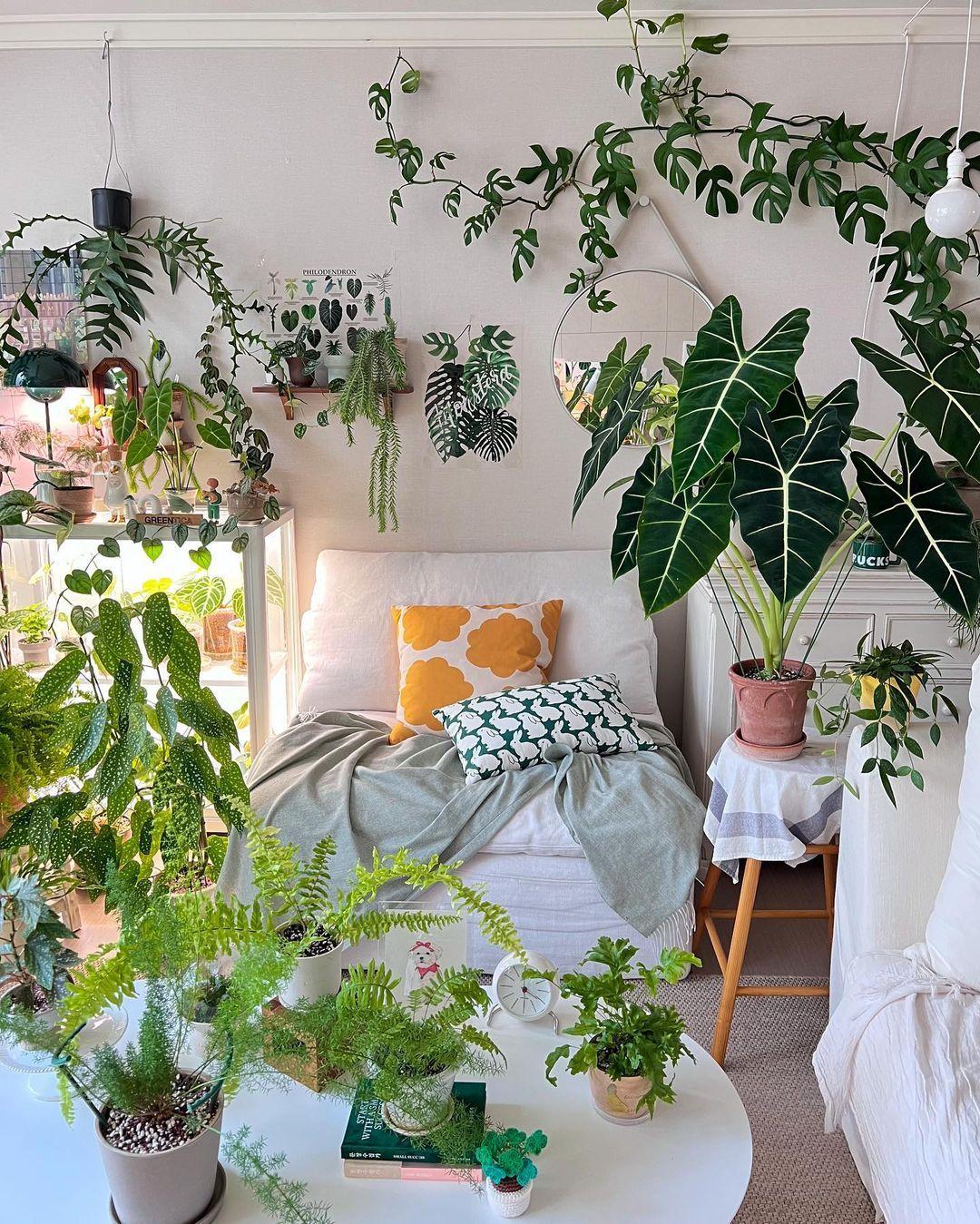 Add potted plants to⁣ breathe life into your earthy living room