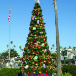 Outdoor Christmas Trees - Ideas for Display and Decor - Dot Com Wom