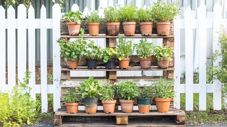 Build ‌a multi-tiered pallet garden for layering your plants and saving space