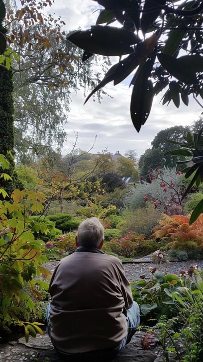 A⁣ Zen Garden bench invites peaceful sitting and contemplation amid nature