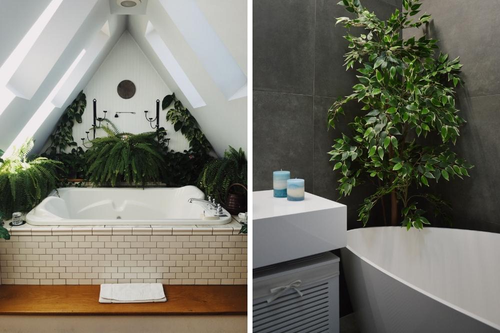 Utilize‌ unexpected plants for a fresh touch ‌in an eclectic bathroom