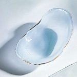 Shells Coquina Decorative Glass Bowl | Artisan Crafted Ho
