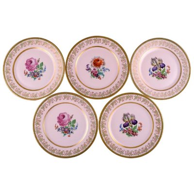 Decorative Plates in Porcelain by Johann Haviland Bavaria, Germany .