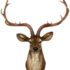 Amazon.com: YJ Home Deer Head Wall Decor - Faux Stag Mounted .