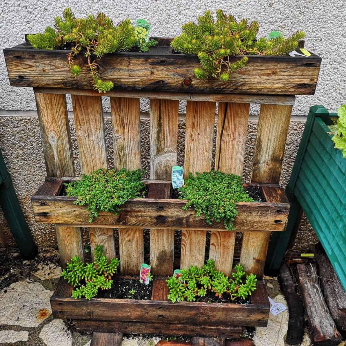 Layer a pallet ⁣garden with multiple hues​ of plants for a vibrant design