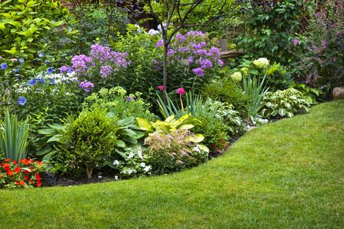 Implement⁣ a seasonal flower rotation to keep front yard landscaping fresh