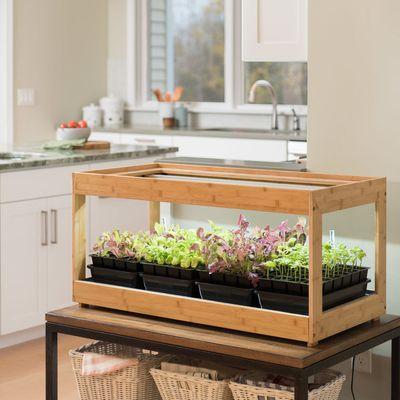 Indoor herb gardens grow popularity in kitchen spaces everywhere