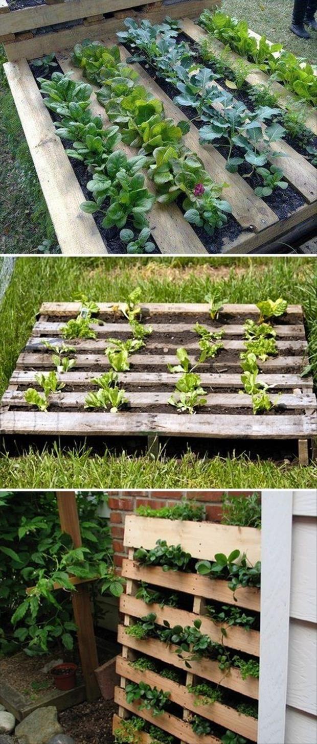 Arrange your pallet ‍garden ⁤creatively to guide guests through your landscape