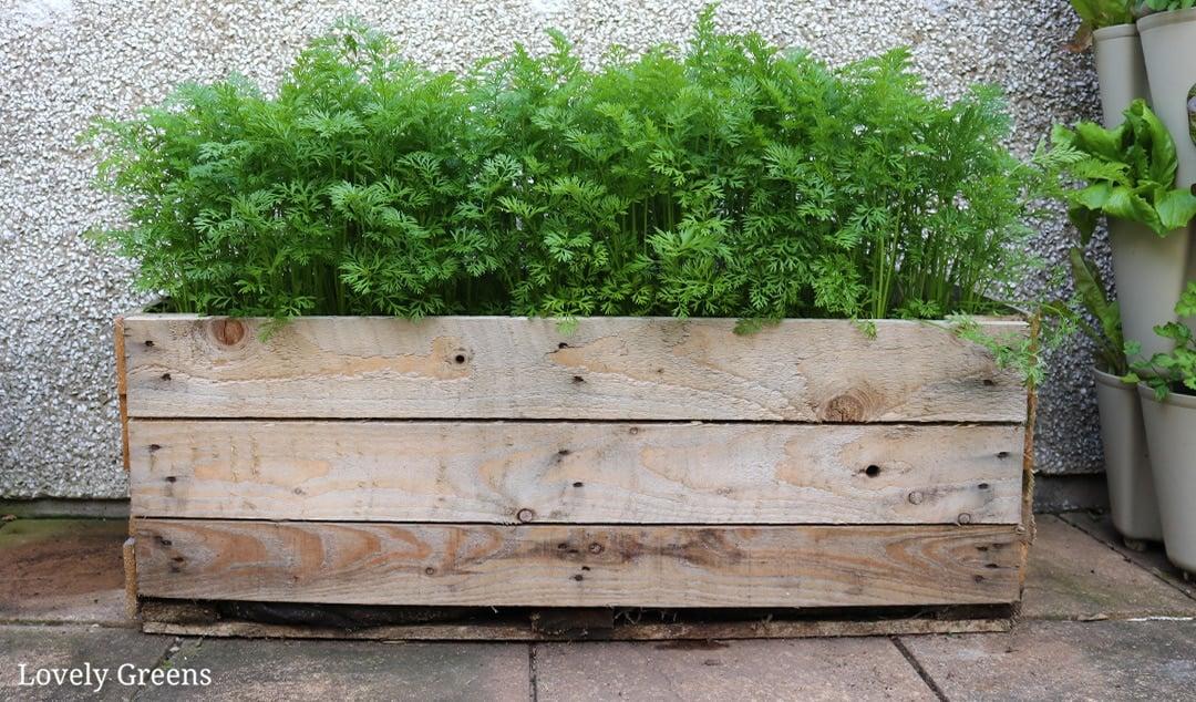 Include⁢ flower boxes on a pallet garden for added depth and ⁢beauty